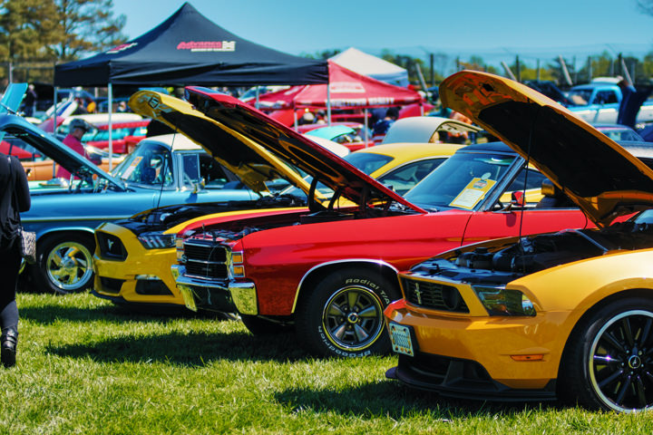 <br /><b>Warning</b>: Undefined variable $page_no in <b>/home2/laymanne/public_html/projects.php</b> on line <b>609</b><br />All-American Muscle Car Celebration AAMCC 2017 Mustangs Photo 