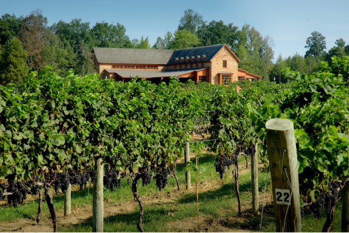 <br /><b>Warning</b>: Undefined variable $page_no in <b>/home2/laymanne/public_html/projects.php</b> on line <b>609</b><br />New Kent Winery New Kent Winery Vineyard Photo 